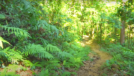 Khadimnagar National Park