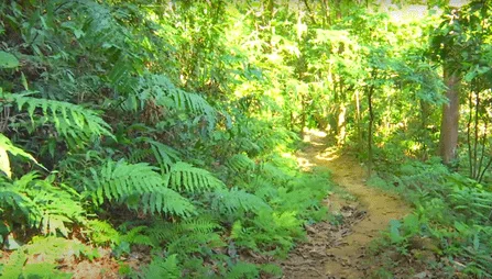 Khadimnagar National Park