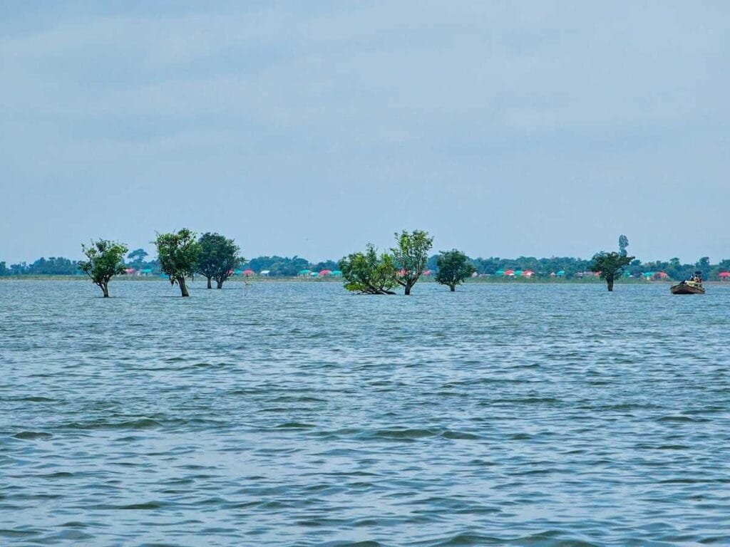 Tanguar Haor