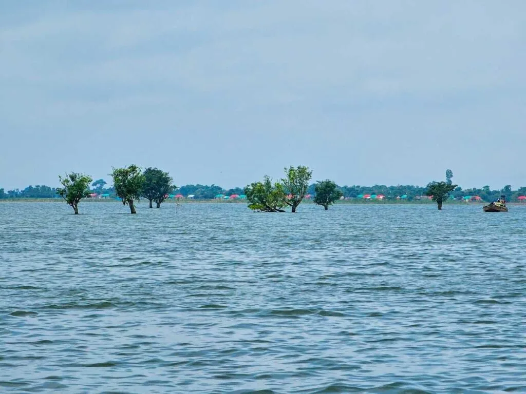 Tanguar Haor