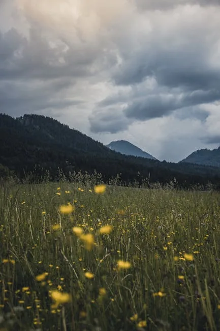 hills