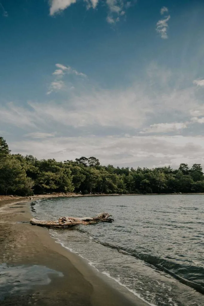 Sea beaches