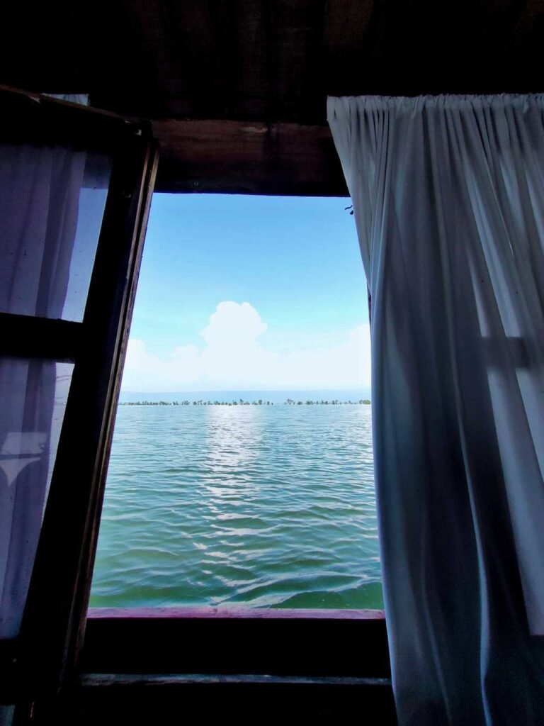 Window view of Tangour Haor FromHouse boat