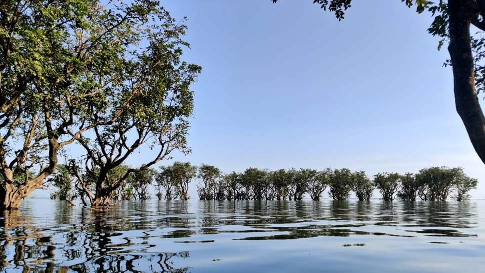 Tanguar Haor