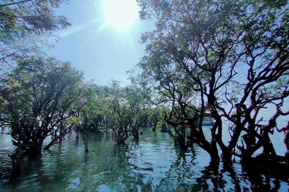 Beautiful side of Tanguar Haor