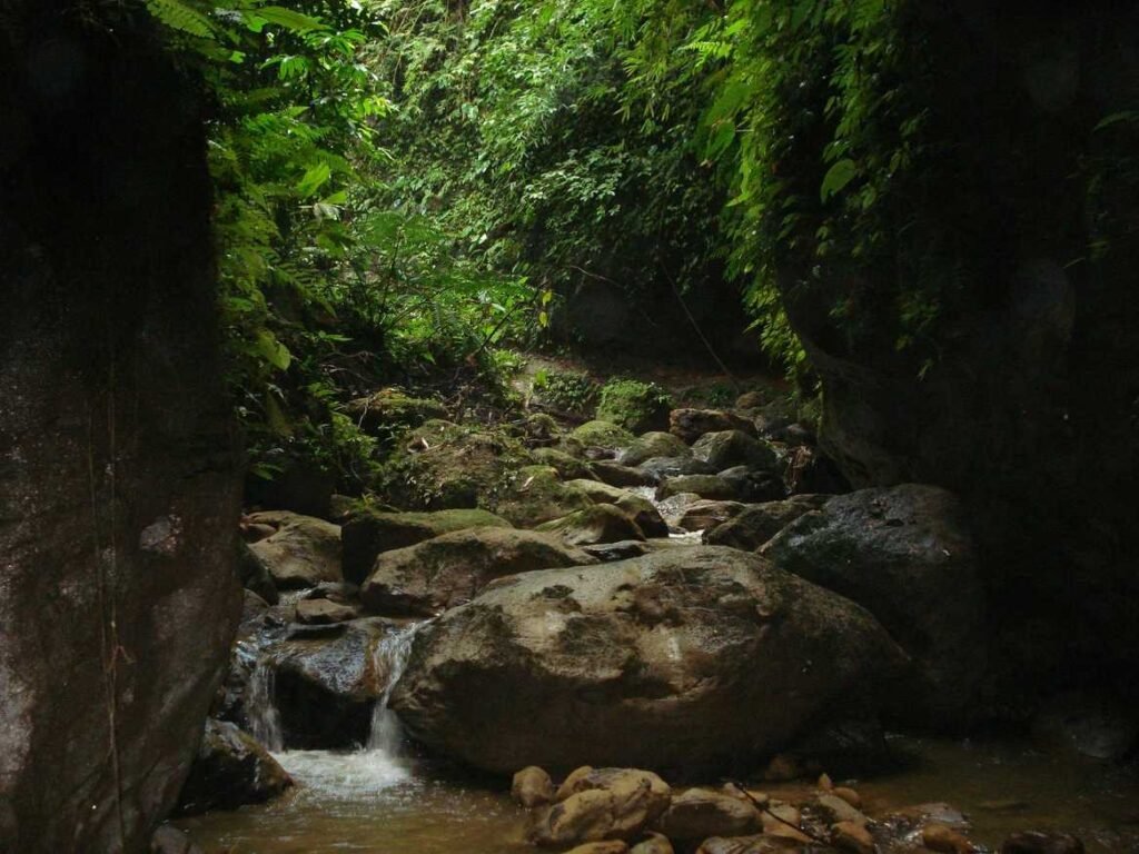 Trekking trail, Bandarban