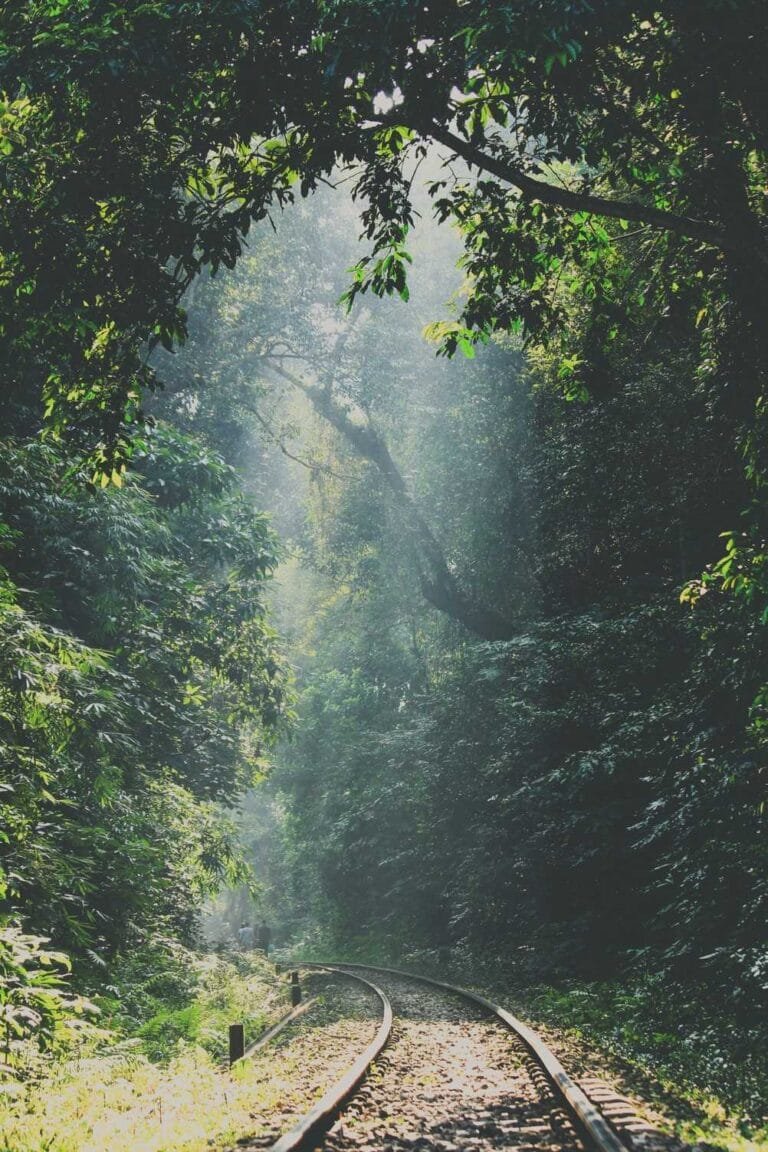 Lawachara National Park