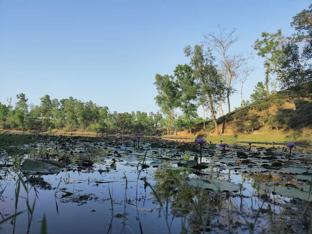 Madhabpur Lake