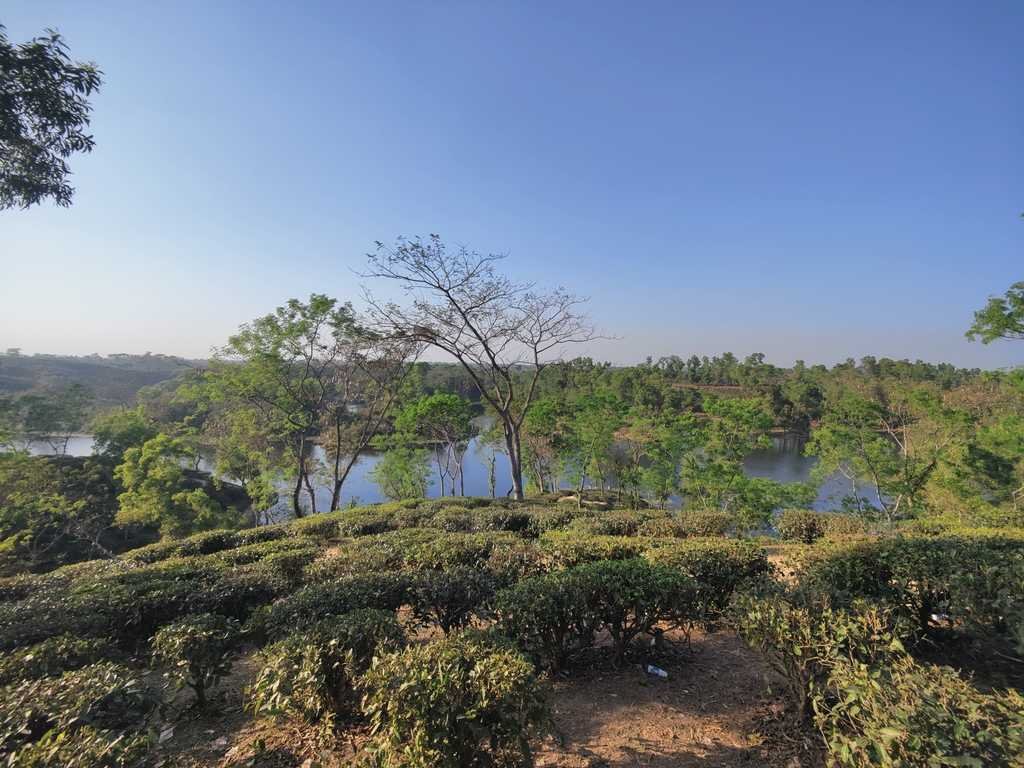 Soothing view of Madhabpur Lake