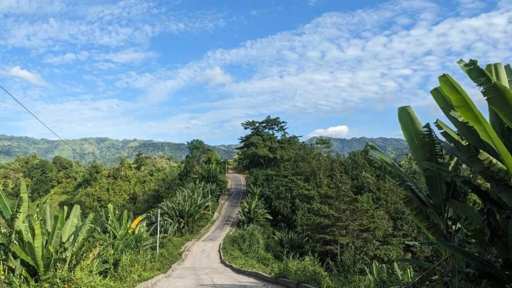 Most aesthetic roads in Bangladesh