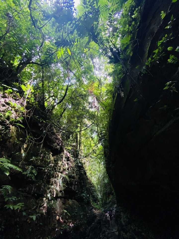 beautiful Lasuban Gorge