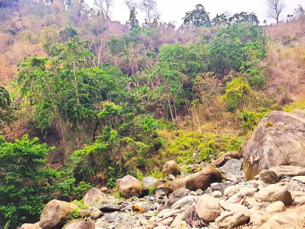 Nature