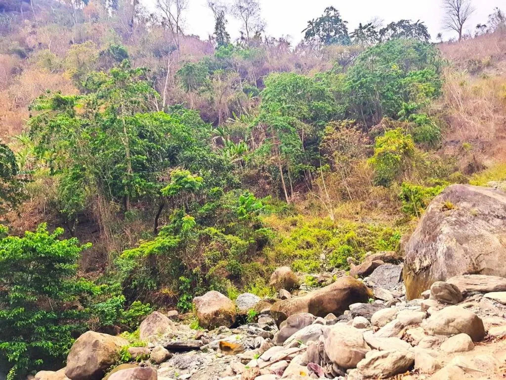 Nature