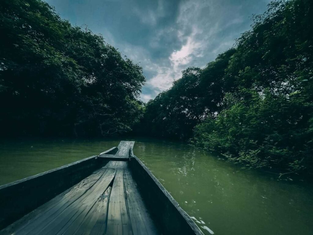 Boat on ratarghul swamp forest