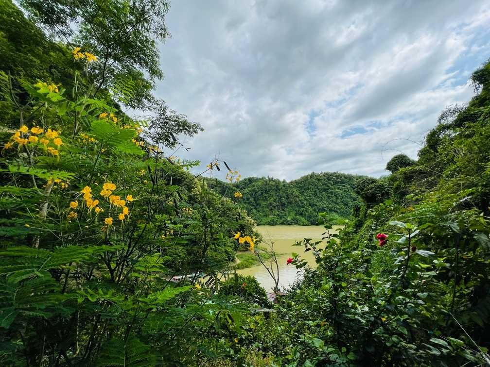 Charming view of Nature