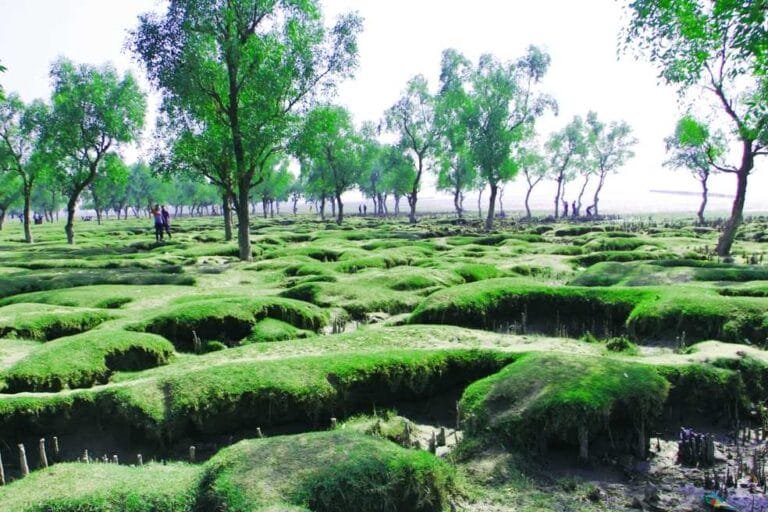 beauty of Guliakhali Sea Beach